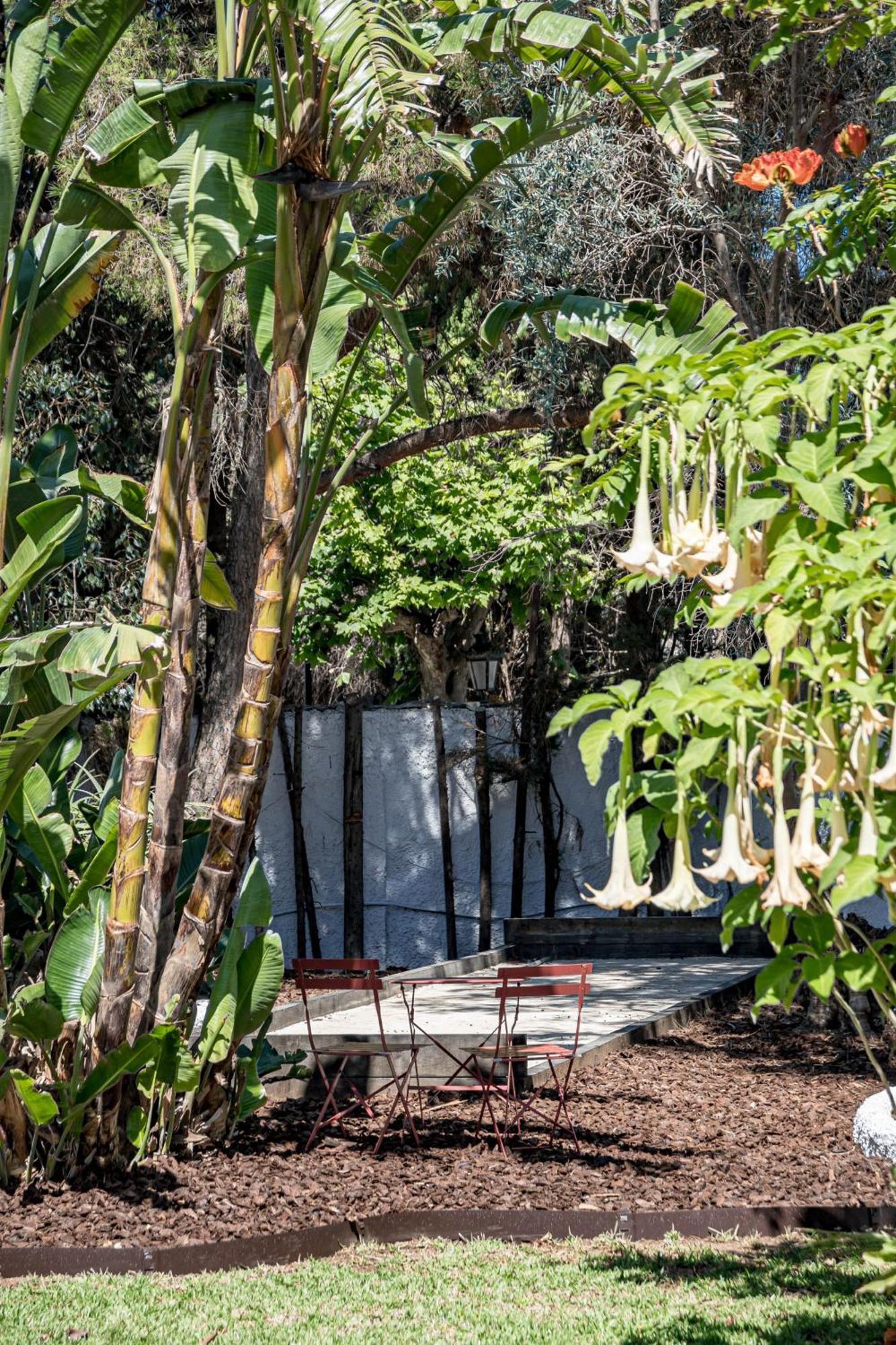 Seaside Paradise With A Private Pool And Walking Distance To The